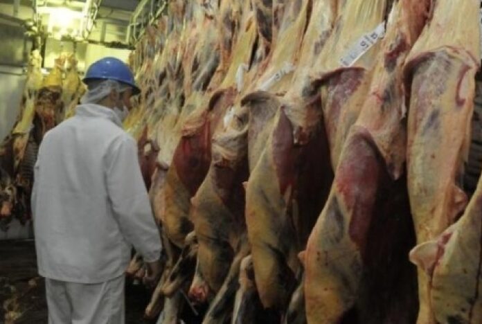 Participação da China na exportação total da carne bovina brasileira atingiu apenas 30,4% em abril