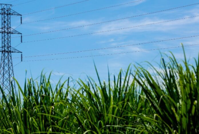 São Paulo avança na transição energética com R$ 16,8 bilhões em investimentos privados