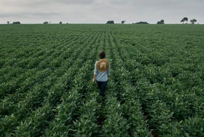 Corteva Agriscience apoia o projeto Eu Mulher Agro (EMA), voltado à capacitação e empoderamento de mulheres do campo