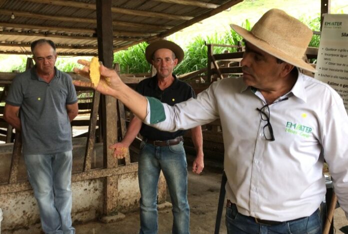 Dia de Campo: metodologia está entre a preferidas pelos produtores para adquirir conhecimento