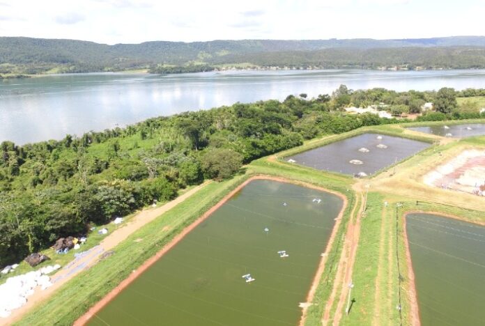 Fider Pescados cria área de preservação de espécies animais em extinção em Rifaina (SP)