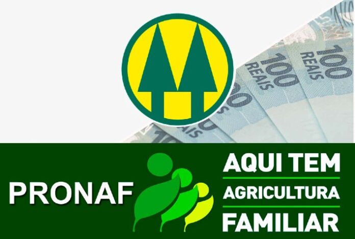 PLANO SAFRA: Restrição do acesso das cooperativas ao Pronaf Agroindústria preocupa Ocepar