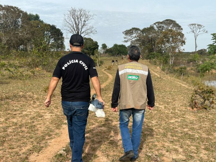 Polícia Civil e IAGRO realizam ação conjunta contra maus-tratos de bovinos em Campo Grande