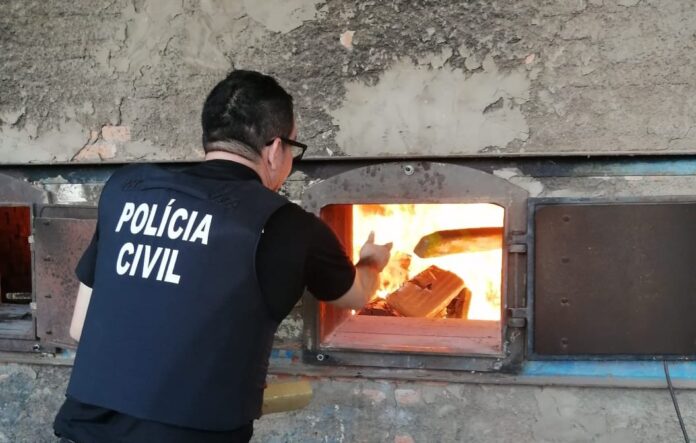 Polícia Civil incinera aproximadamente 835kg de drogas em Camapuã