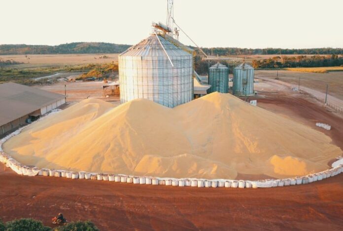 Por que há montanhas de milho ao relento no interior do Brasil