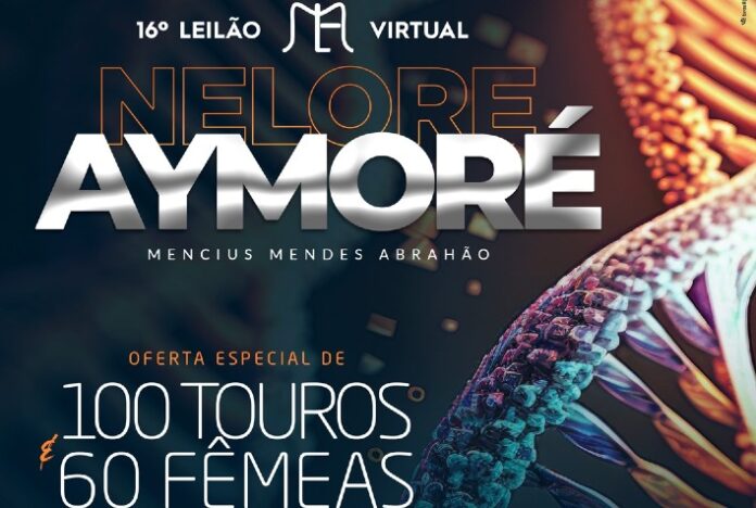 Touros e fêmeas Nelore estarão à venda no 16º Leilão Virtual Nelore Aymoré, em 8 de julho