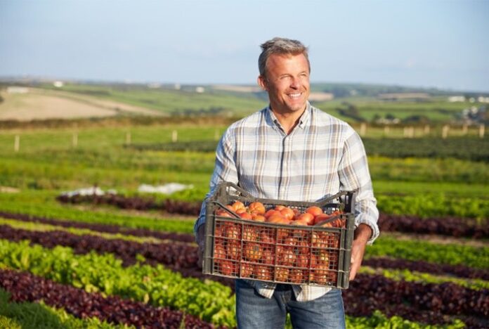 Trabalhadores pedem redução de juros para produzir alimentos no Brasil