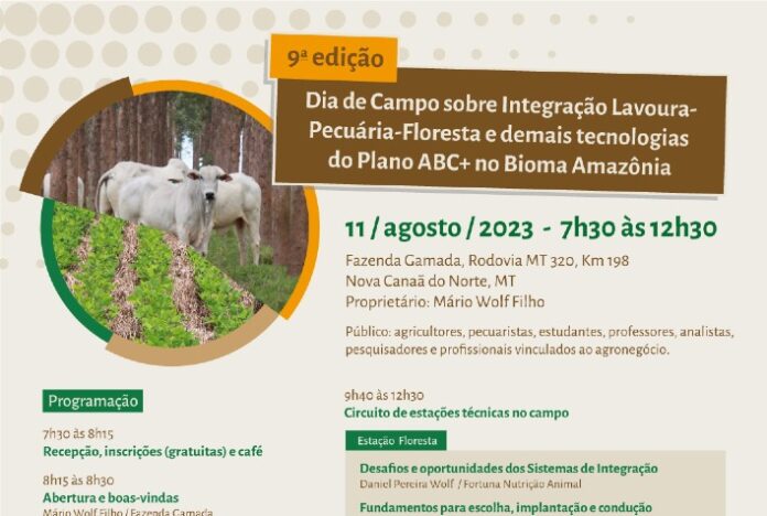 Dia de campo mostrará resultados e aprendizados de 13 anos com sistemas de integração na Fazenda Gamada