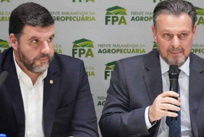 FPA garante janela de plantio de soja estendido no Paraná