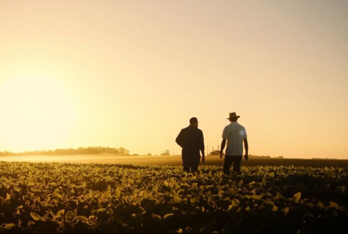 MERCADO DE TRABALHO: População ocupada no agro soma 28 mi, o maior número para um 1º tri desde 2012