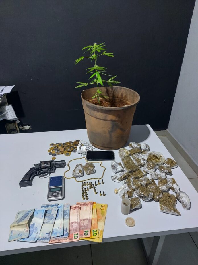 Polícia Civil Prende homem por Tráfico de Drogas