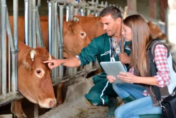 9/9 Dia do Veterinário: Além da clínica e campo, profissão evolui e ganha novos espaços no mercado