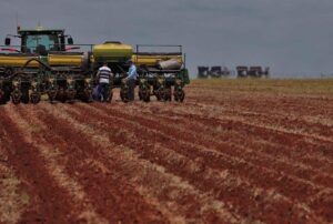 Antecipação da semeadura do algodão de sequeiro é aprovada em CRT do Algodão