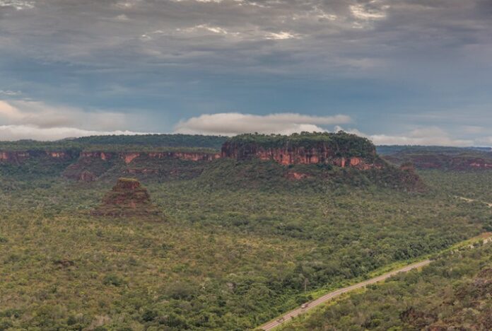 Brasil perdeu 96 milhões de hectares desde 1985, aponta MapBiomas