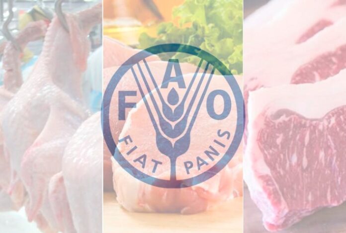 Carnes brasileiras se encontram entre as mais competitivas do mercado internacional