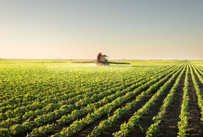 Dependência Nacional: mais de 70% dos fertilizantes são importados