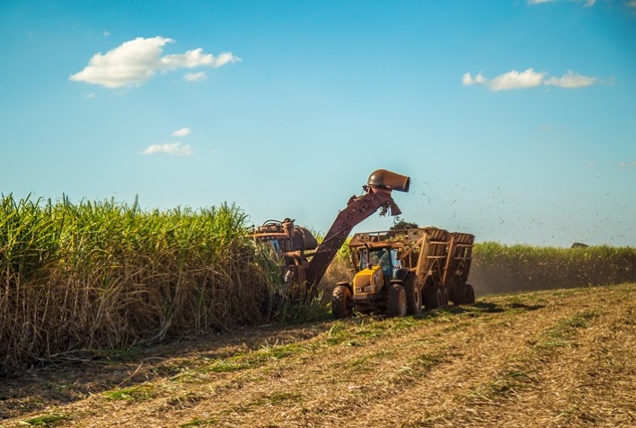 Produtividade dos canavais do centro-sul salta 23% no acumulado da safra 23/24, diz CTC