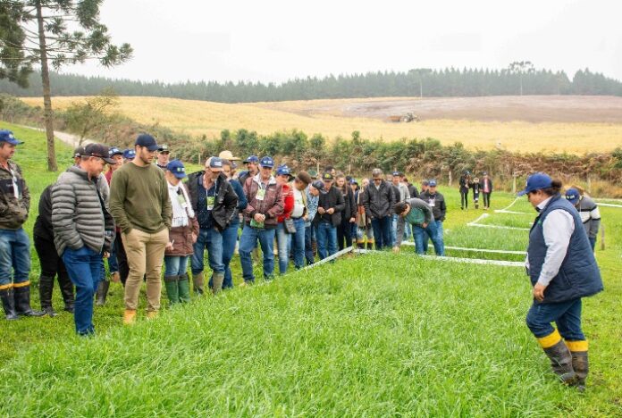 Produtores rurais da ATeG conhecem experiências de sucesso na produção de leite em Monte Castelo