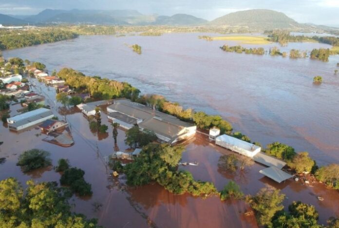 Vale do Taquari tem perda estimada de R$ 300 milhões com aves e suínos