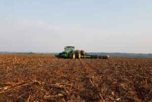 AgRural: Plantio de soja perde fôlego e vai a 17% no Brasil; MT pode ter replantio