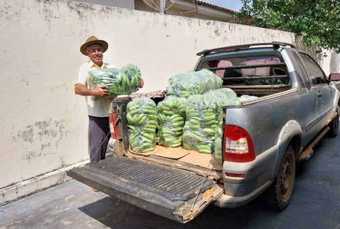 Agricultores familiares iniciam entregas de alimentos do PAA Goiás