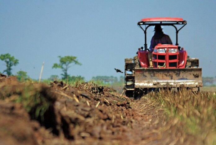 Crédito de até R$ 500 mil beneficia produtores rurais