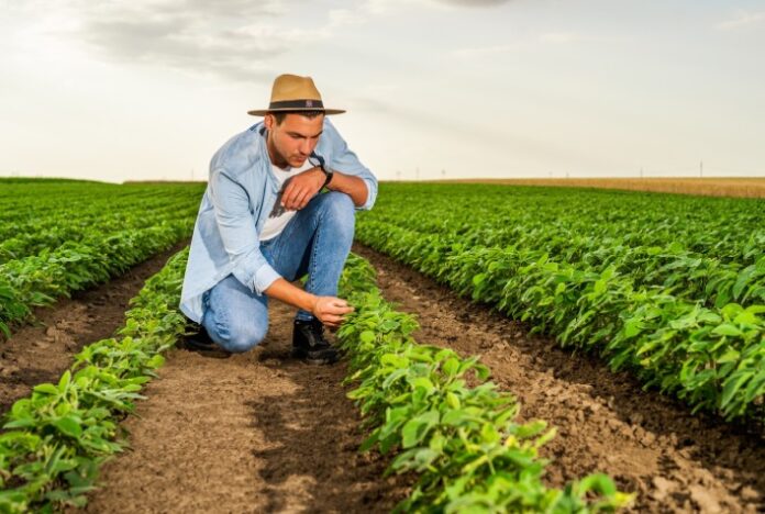 Cultivando o futuro: a importância do Engenheiro Agrônomo na criação de uma agricultura sustentável