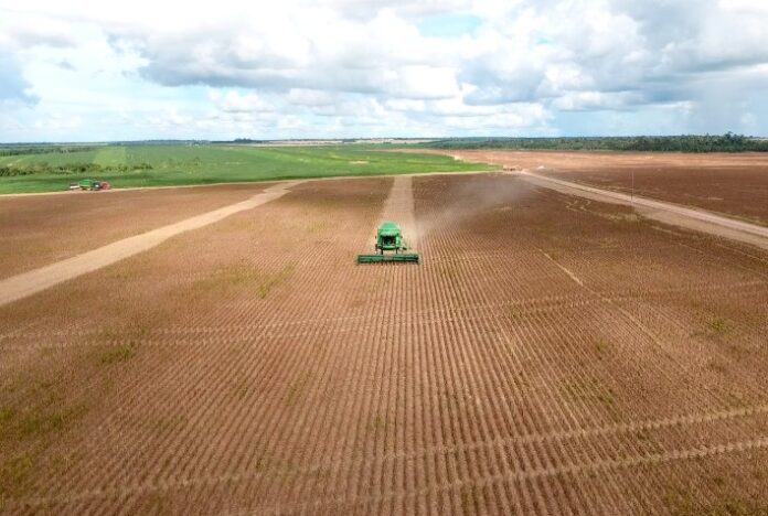 Paragominas é a cidade do Pará mais rica no agronegócio, confirma IBGE