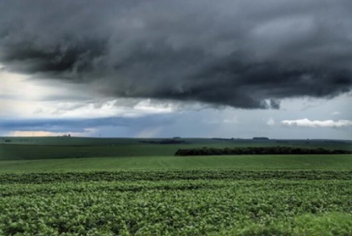 SAFRA: Previsão da Secretaria da Agricultura avalia impacto das chuvas nas lavouras