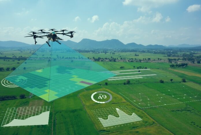 Satélite permite seguro mais personalizado para o mercado agro