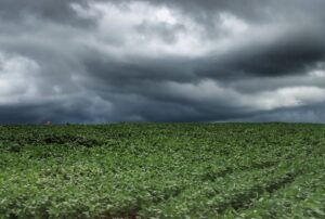 Estado do Paraná e municípios levantam os efeitos da chuva nas lavouras e estradas rurais