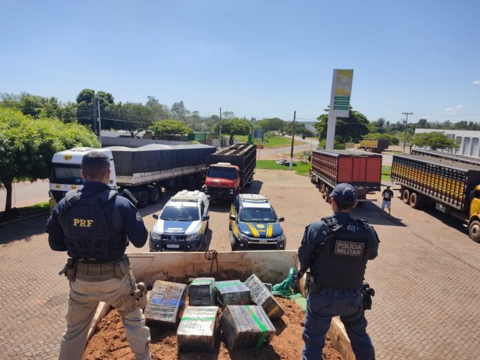 11º BPM realiza apreensão recorde de maconha: 12 toneladas